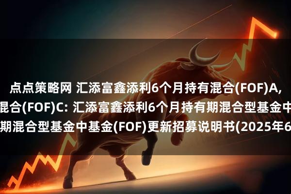 点点策略网 汇添富鑫添利6个月持有混合(FOF)A,汇添富鑫添利6个月持有混合(FOF)C: 汇添富鑫添利6个月持有期混合型基金中基金(FOF)更新招募说明书(2025年6月11日更新)