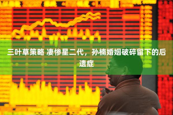 三叶草策略 凄惨星二代，孙楠婚姻破碎留下的后遗症