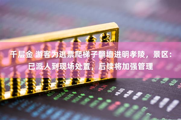 千层金 游客为逃票爬梯子翻墙进明孝陵，景区：已派人到现场处置，后续将加强管理
