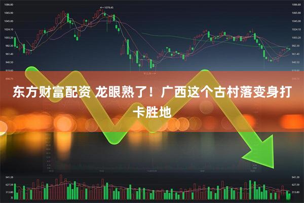 东方财富配资 龙眼熟了！广西这个古村落变身打卡胜地