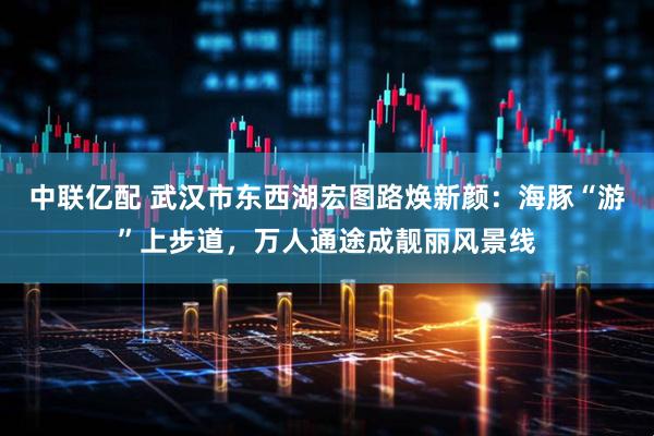 中联亿配 武汉市东西湖宏图路焕新颜：海豚“游”上步道，万人通途成靓丽风景线