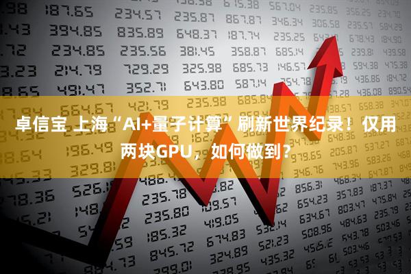 卓信宝 上海“AI+量子计算”刷新世界纪录！仅用两块GPU，如何做到？