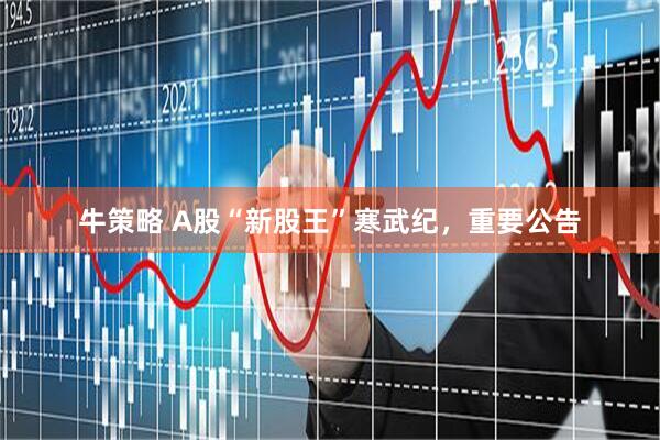 牛策略 A股“新股王”寒武纪，重要公告