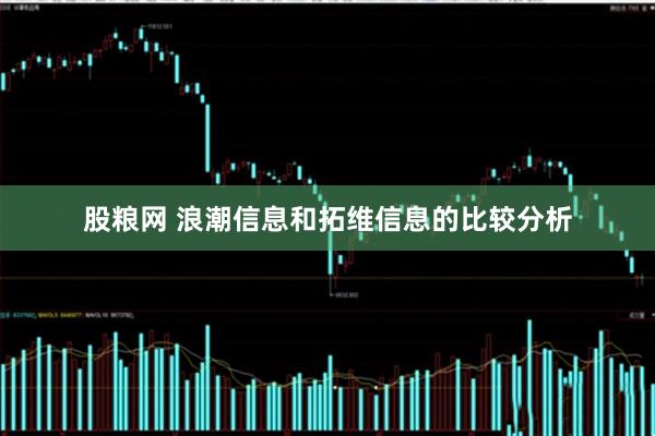 股粮网 浪潮信息和拓维信息的比较分析