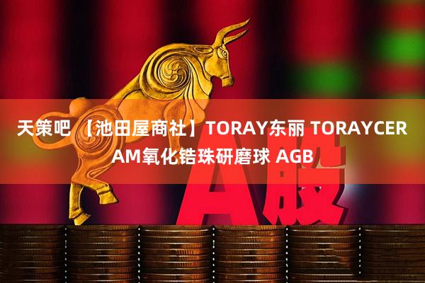 天策吧 【池田屋商社】TORAY东丽 TORAYCERAM氧化锆珠研磨球 AGB