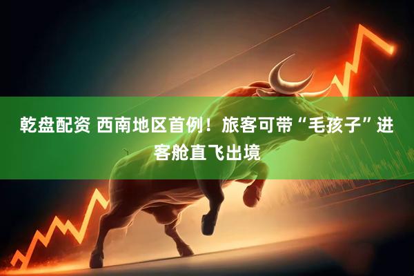 乾盘配资 西南地区首例！旅客可带“毛孩子”进客舱直飞出境